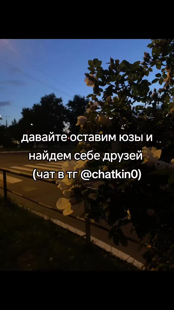 @cqtagger