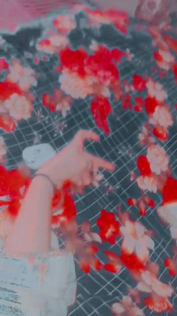 @❤️🩹aashi❤️🩹