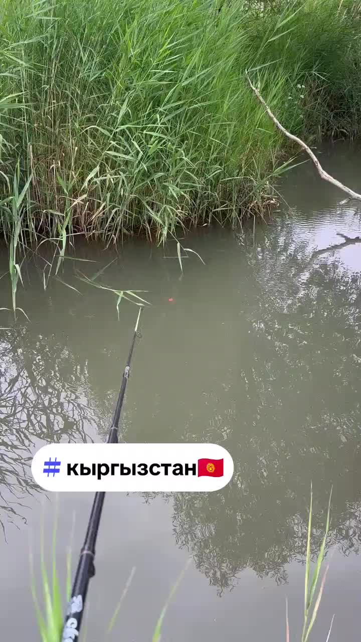 @АЗИМ