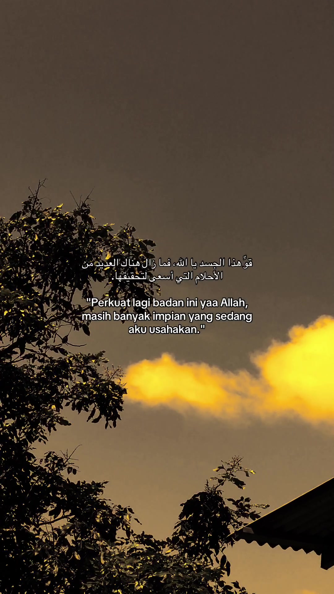@﷽