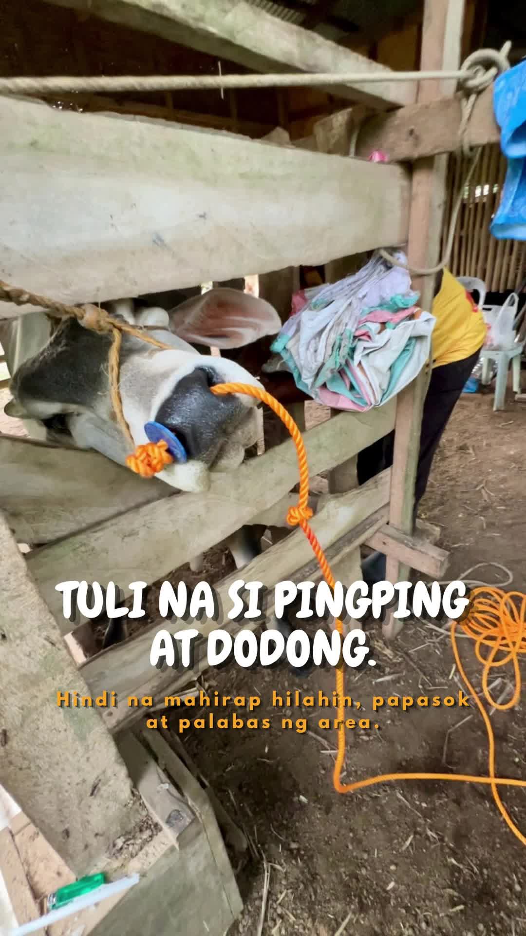 @indaypoypoy