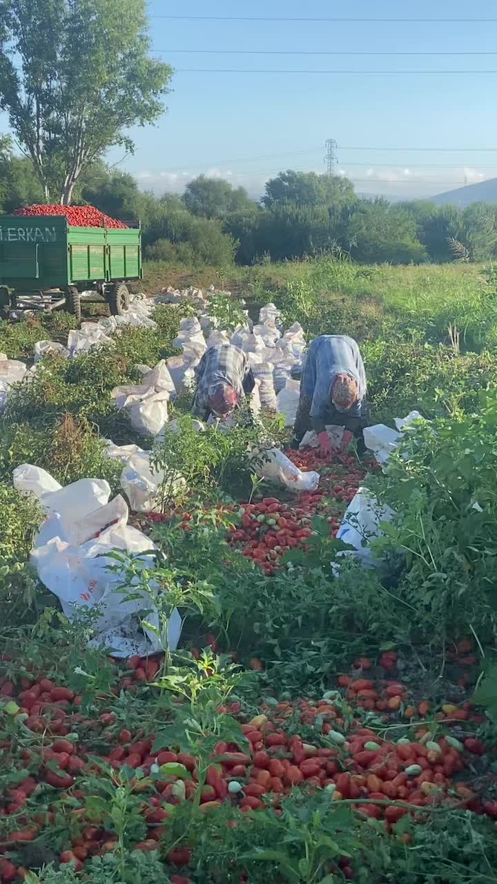 @Eşref_4721