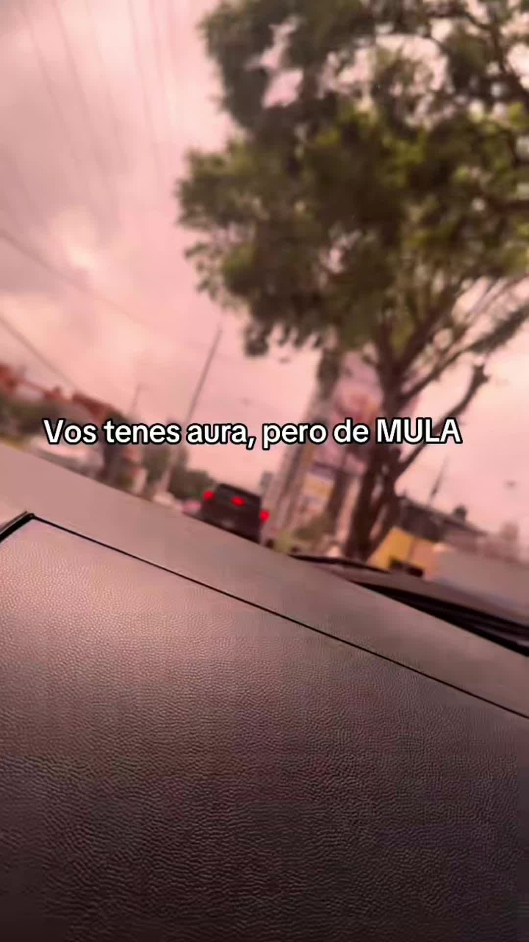 @A.A.CH.A.🧠🫀