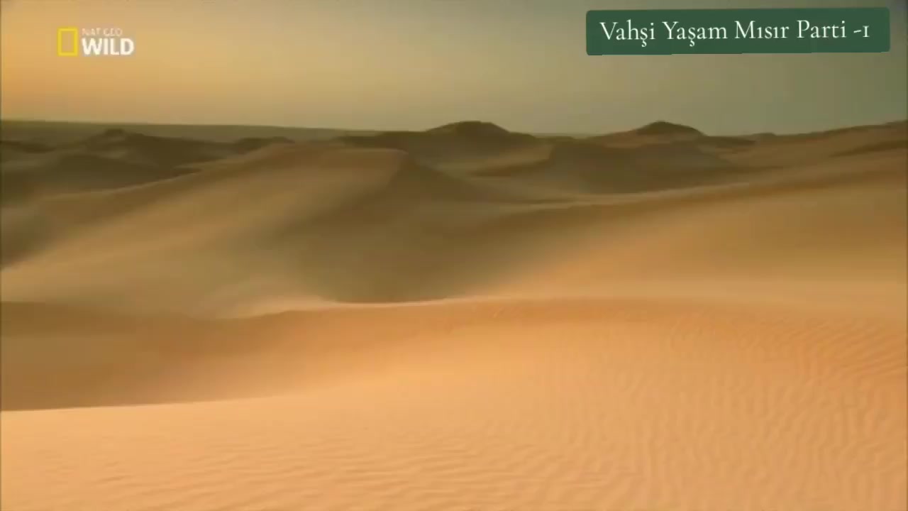@Belgesel D&uuml;nyası 🌏