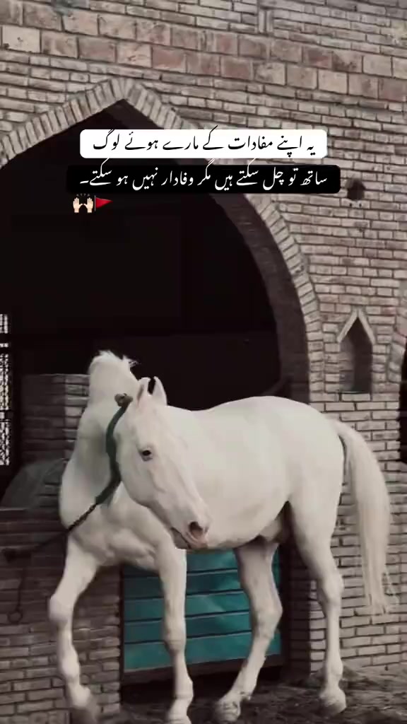@UsMaN sialkoti295👿