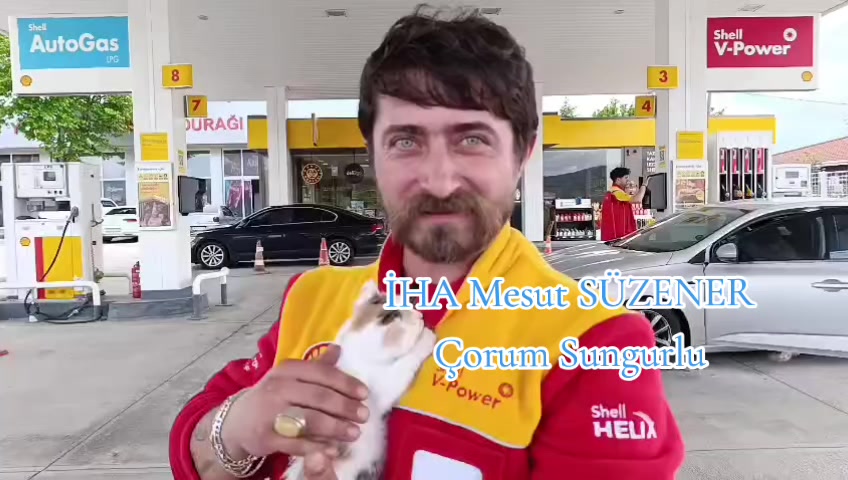 @mesut s&uuml;zener