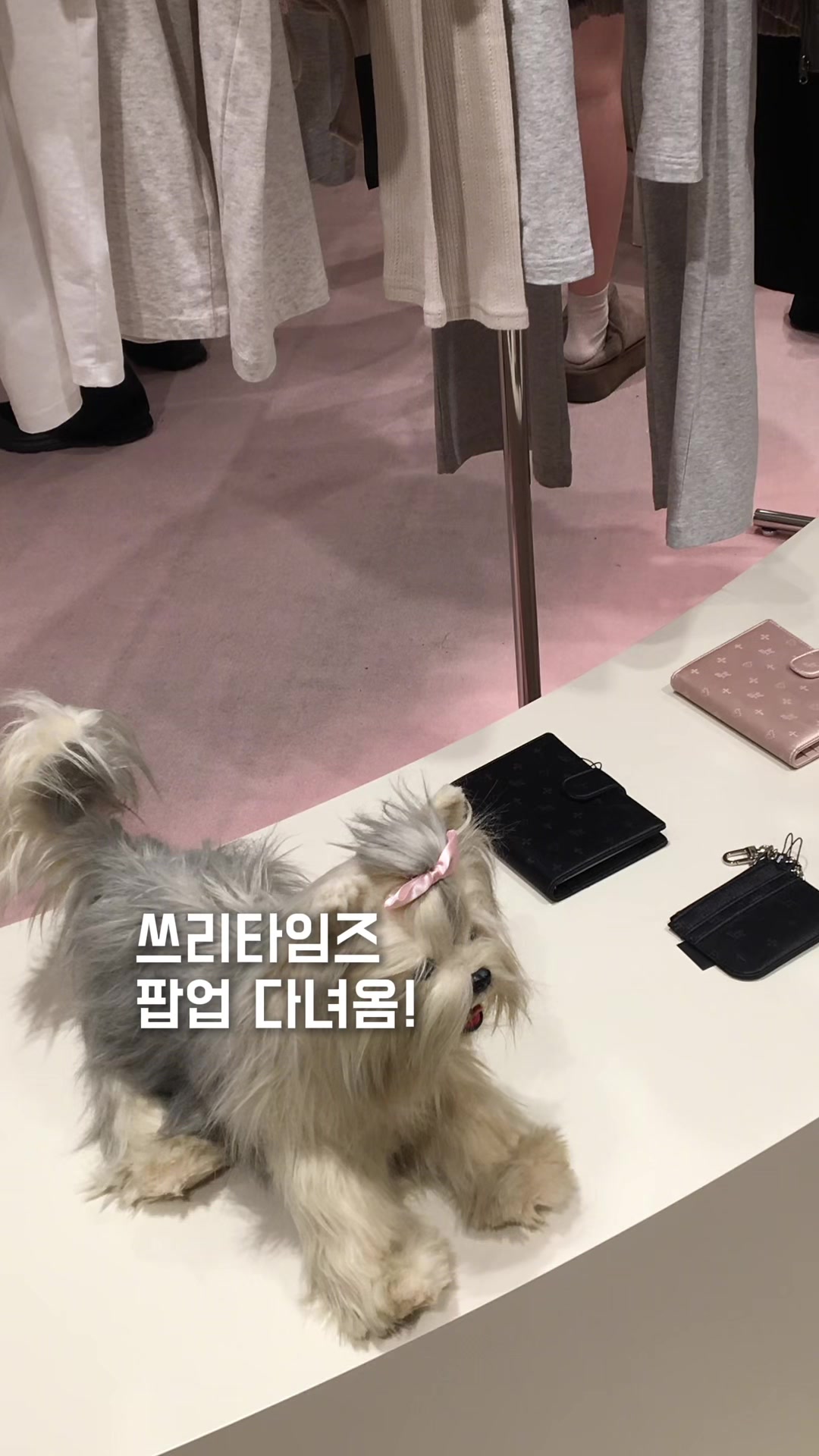 @쏘잉sowing