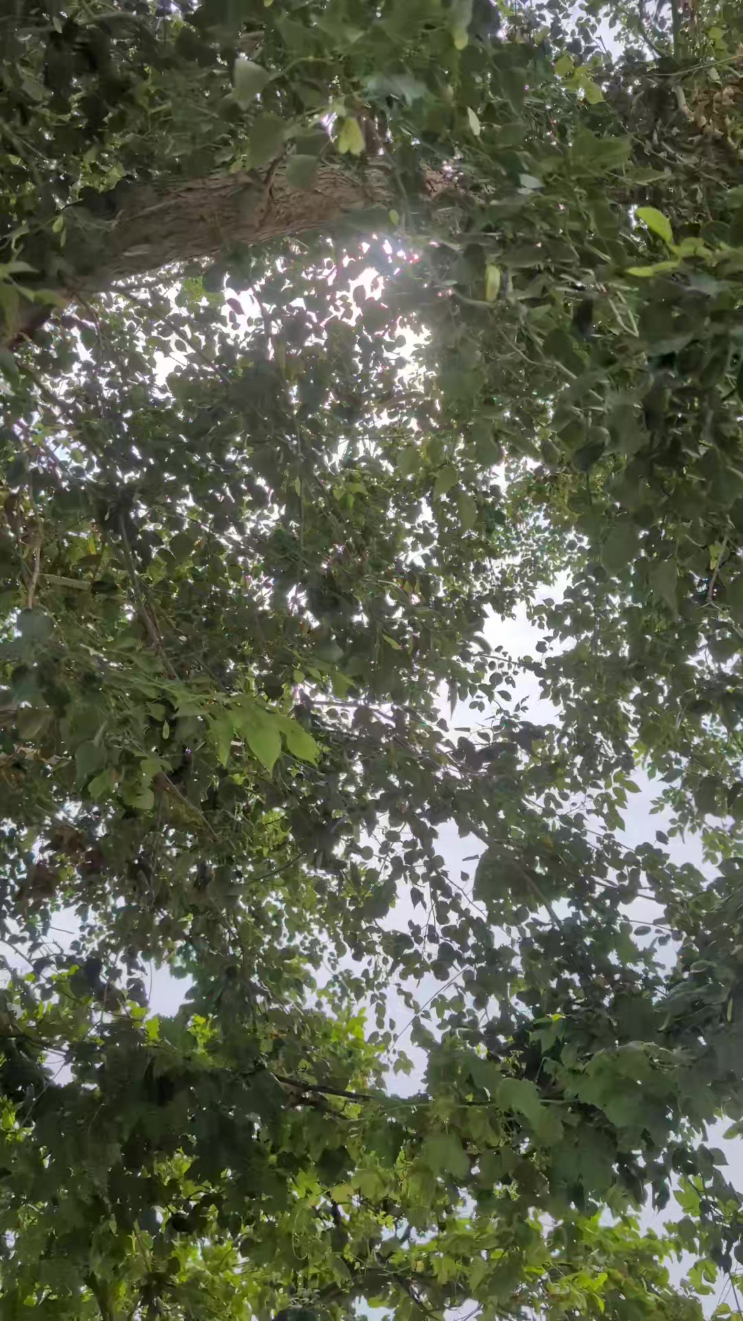 @☆،؛فلک بڈ1نی.&bull;