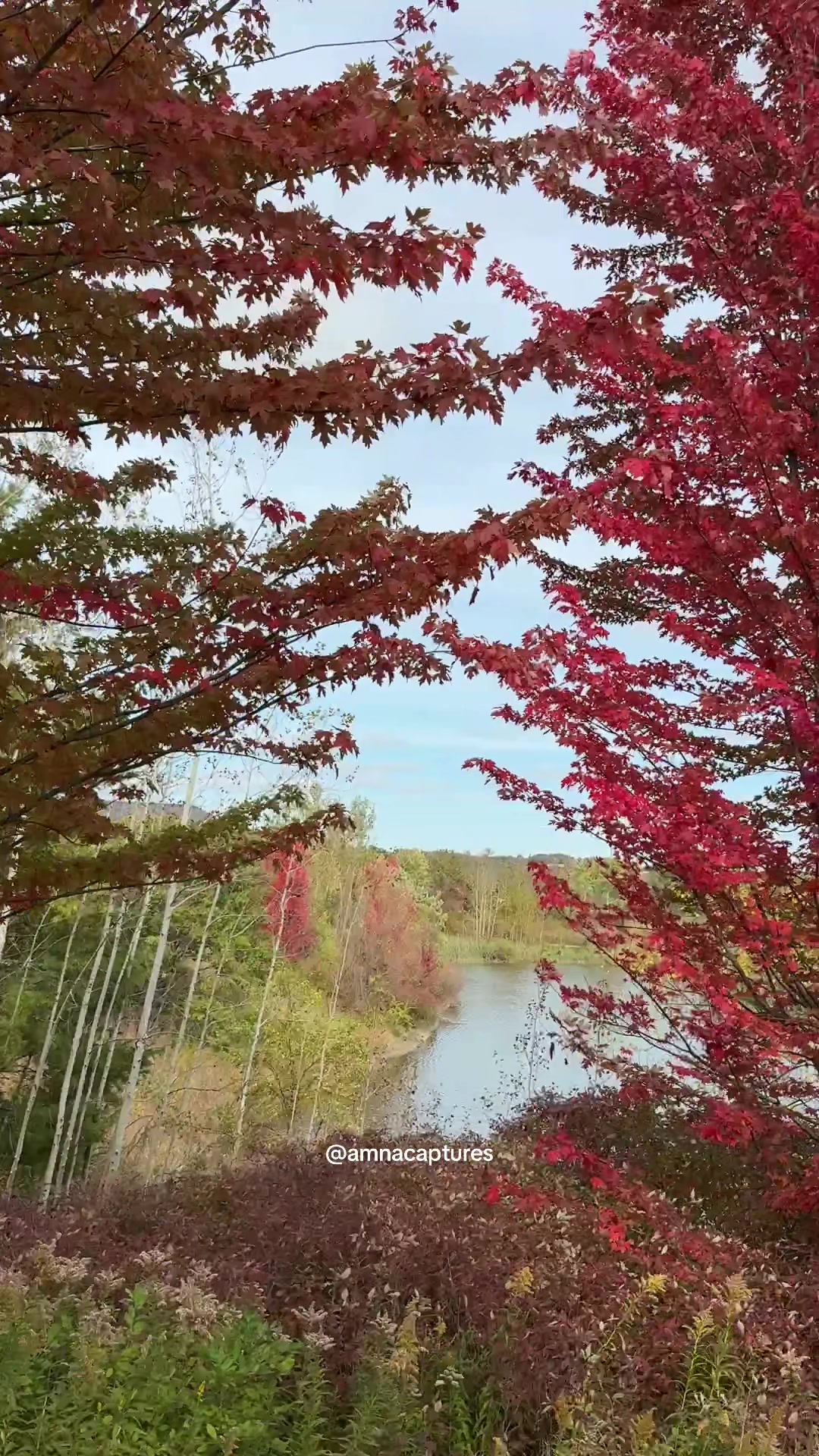 @Nature lover 🇨🇦