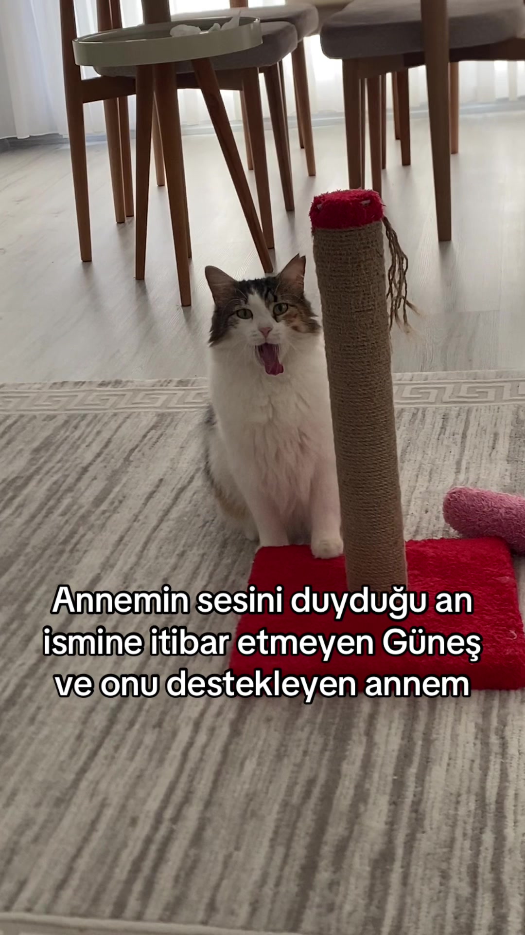 @yudummz_