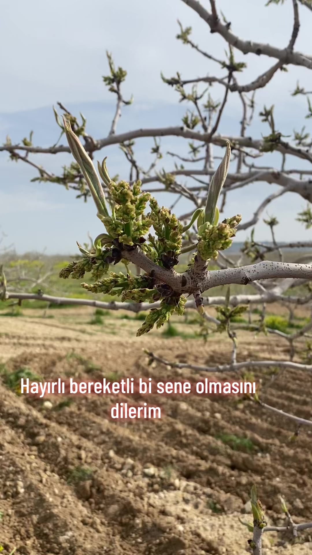 @AHMET-TUNCO