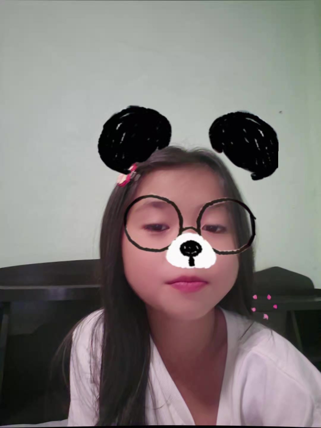 @🐼