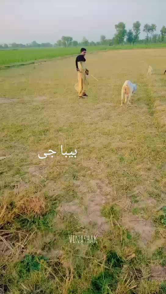 @بیبہ110🤕