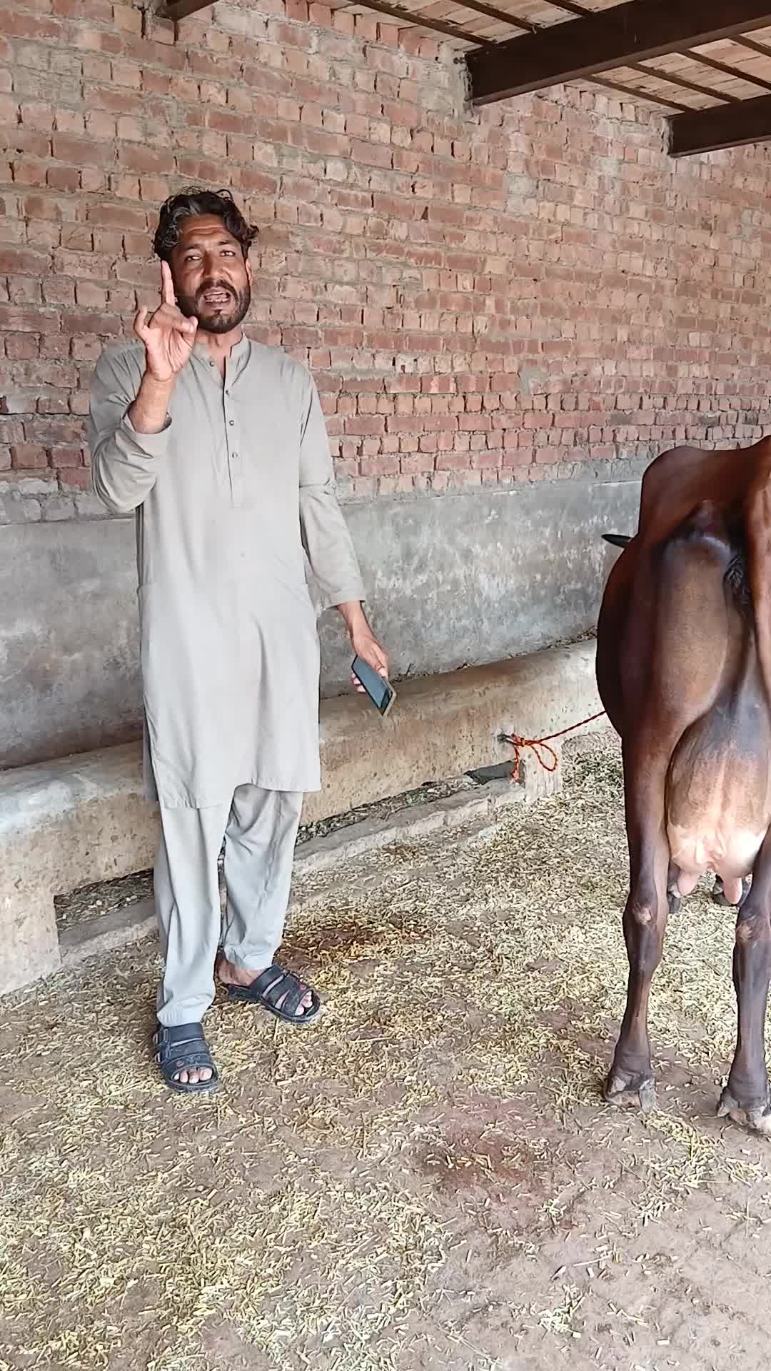 @Farming and Business Ideas
