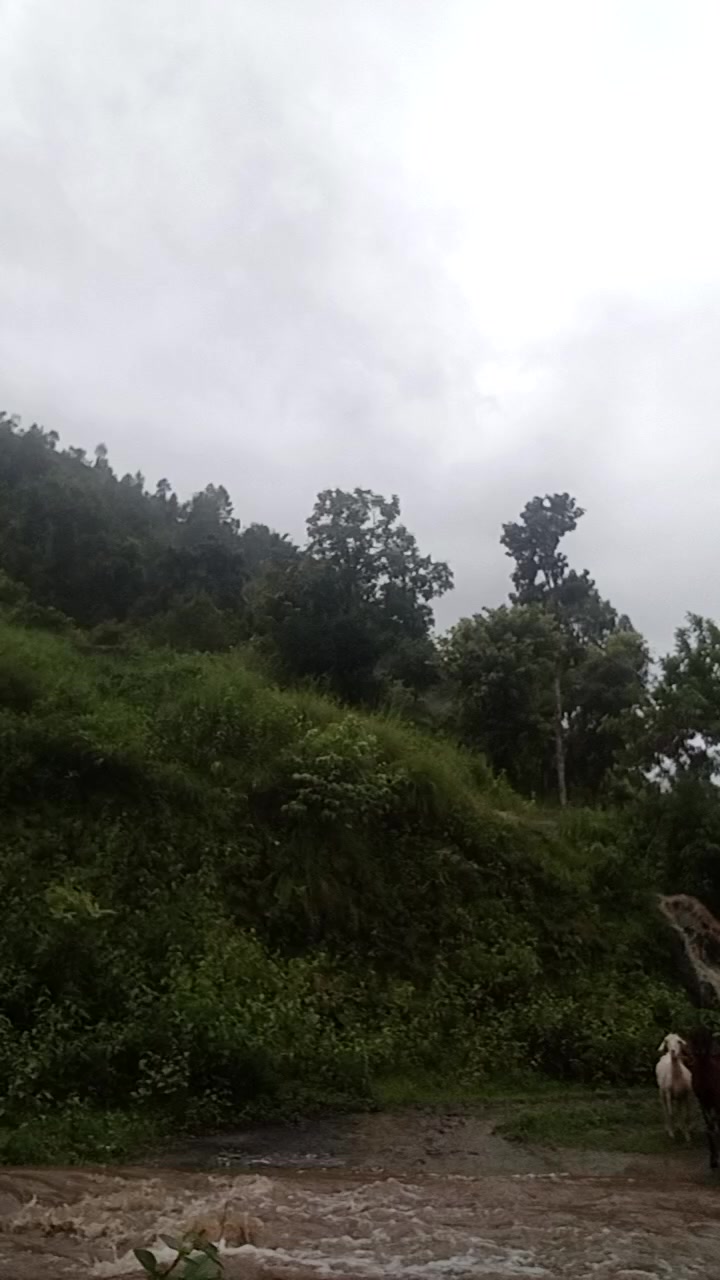 @rk. Xettri.3k