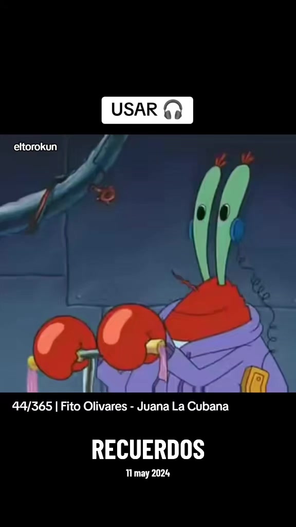 @eltorokun