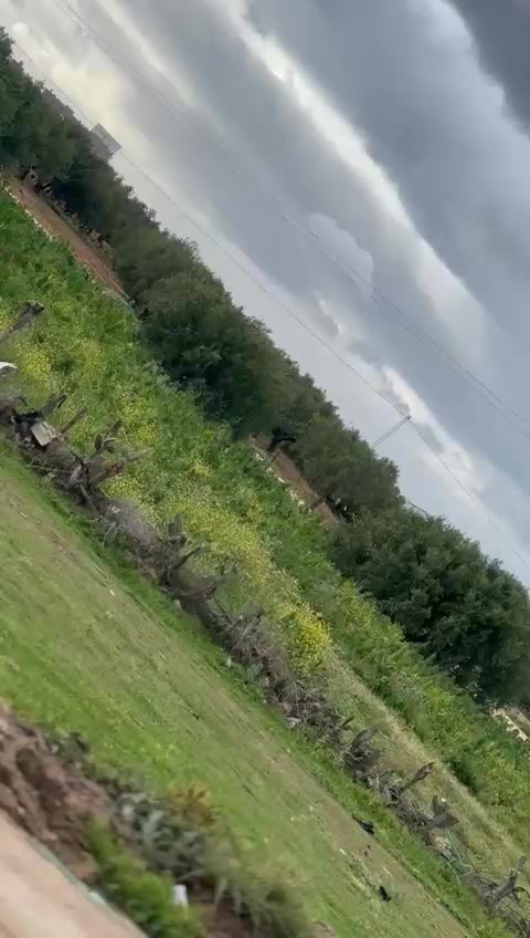 @Hama Farjallah 