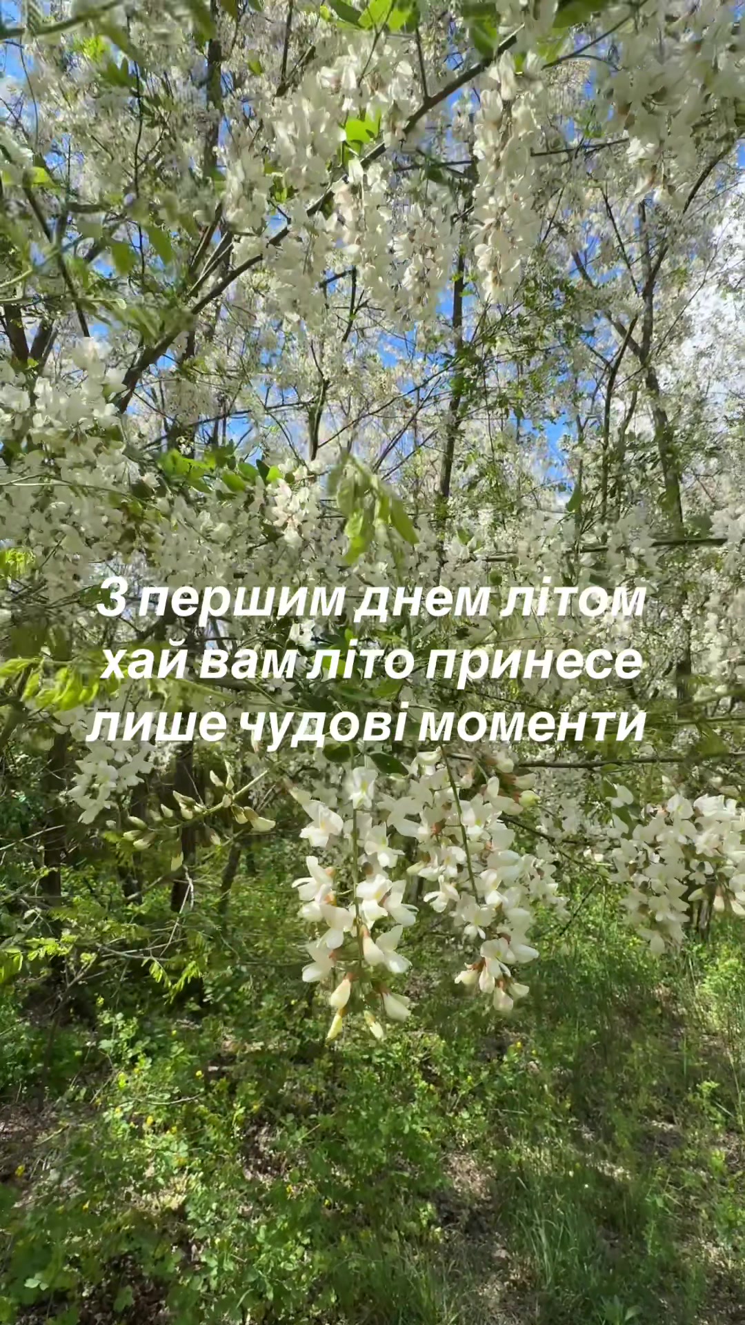 @Sasha🇺🇦John Deere🇺🇦🚜🌾🌽