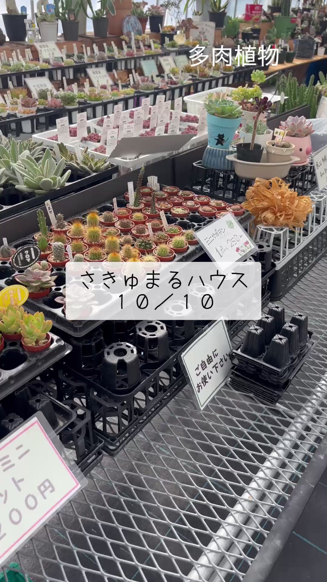 @さきゅまる~こぴとSHOP