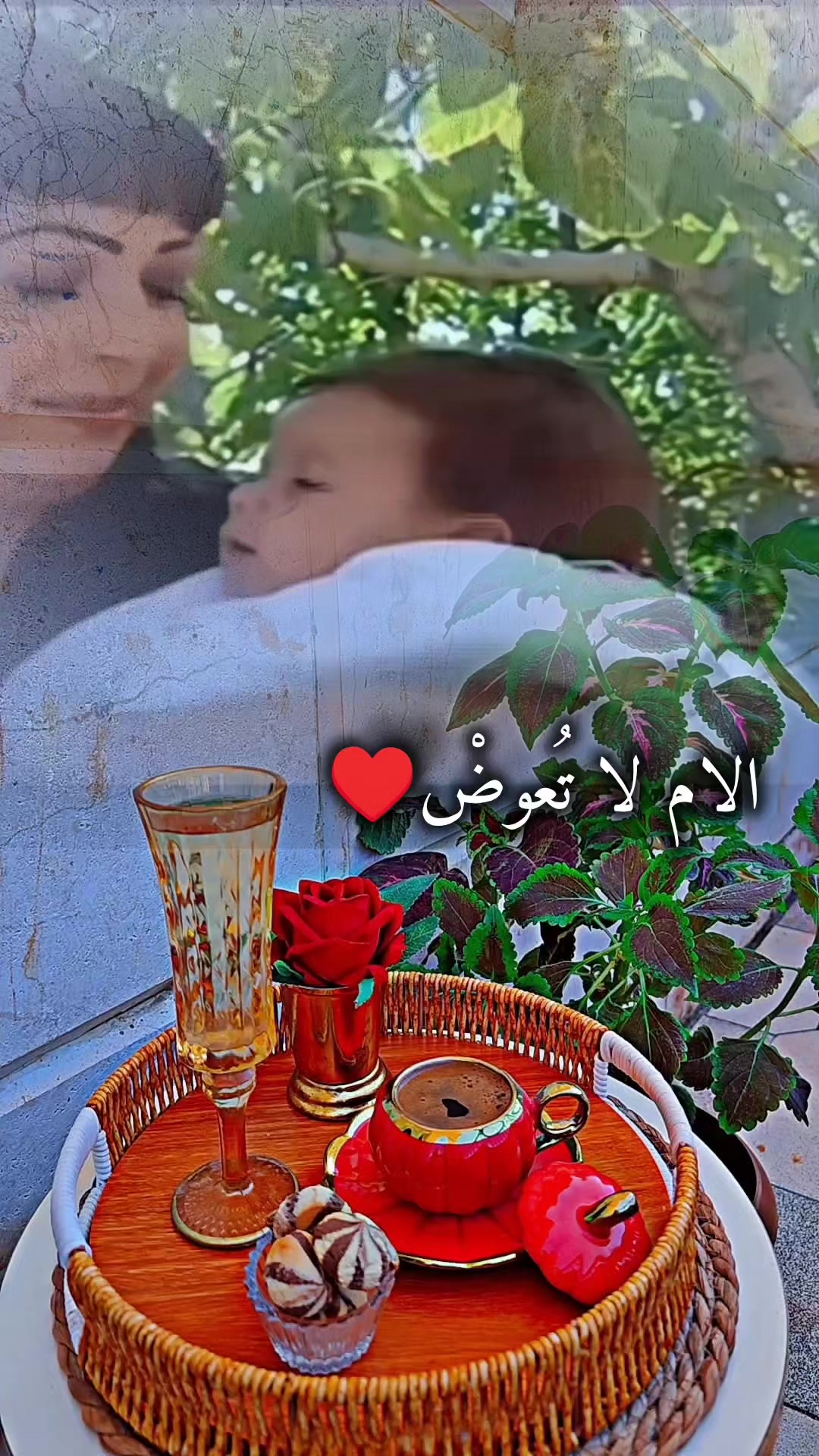@عبير الورد🍃❤️