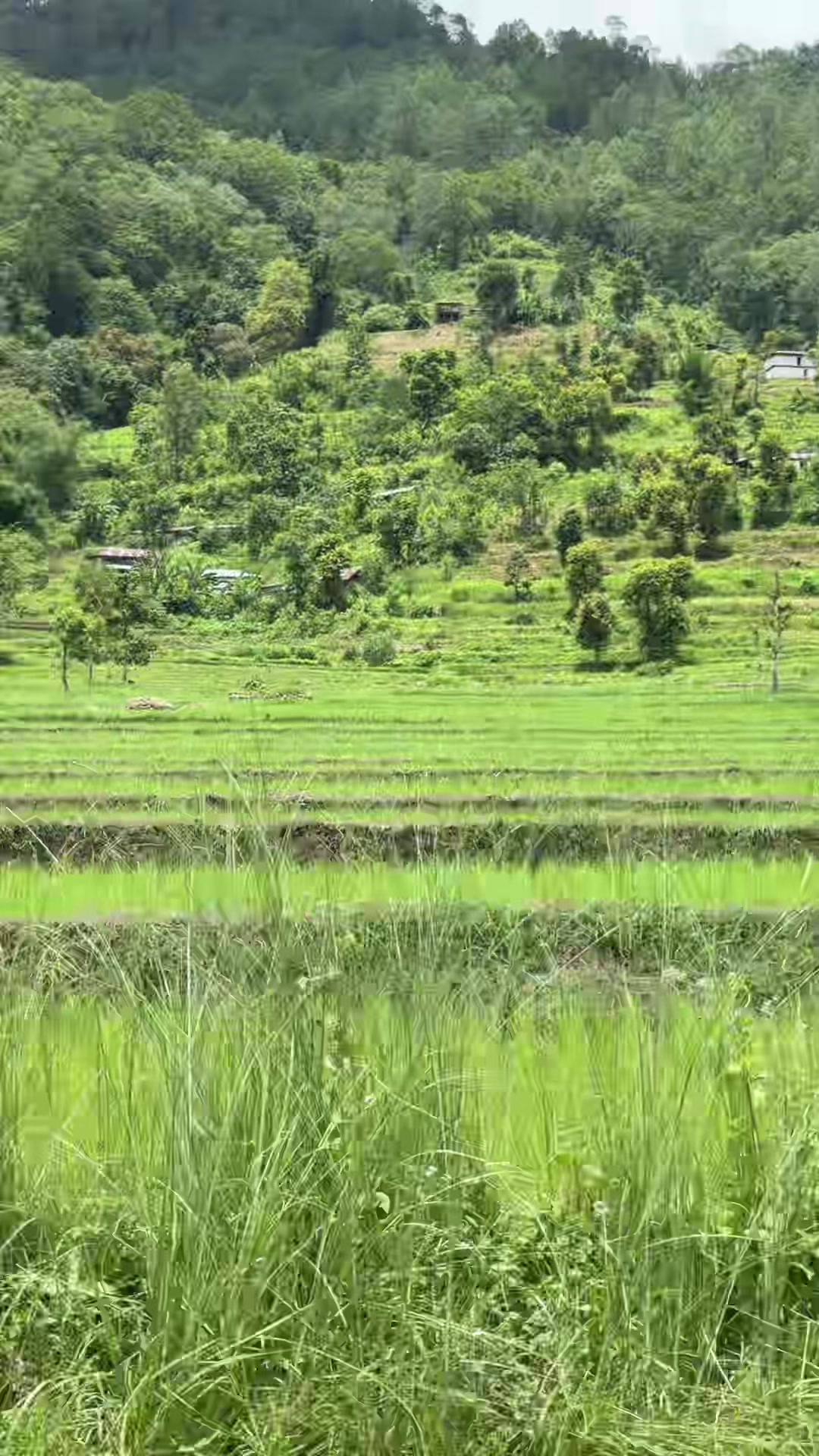 @Sergithang Tsirangtoed Demkung