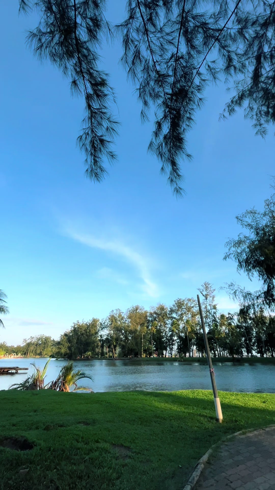 @n i ᥫ᭡.🦢