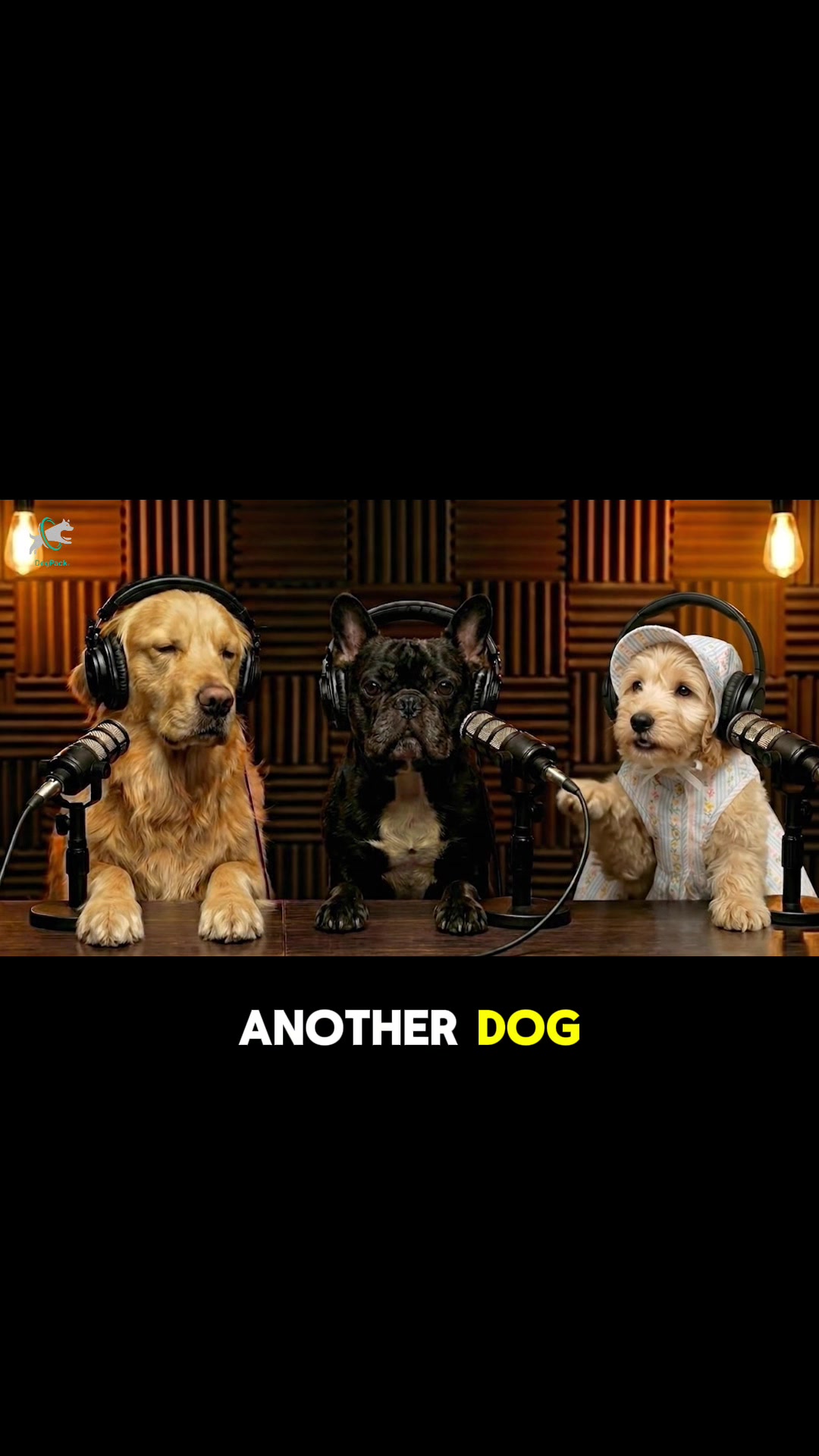 @DogPack