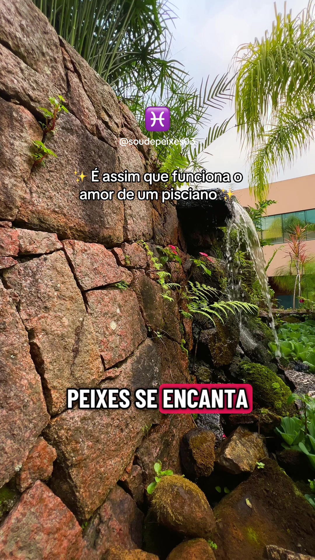 @soudepeixes