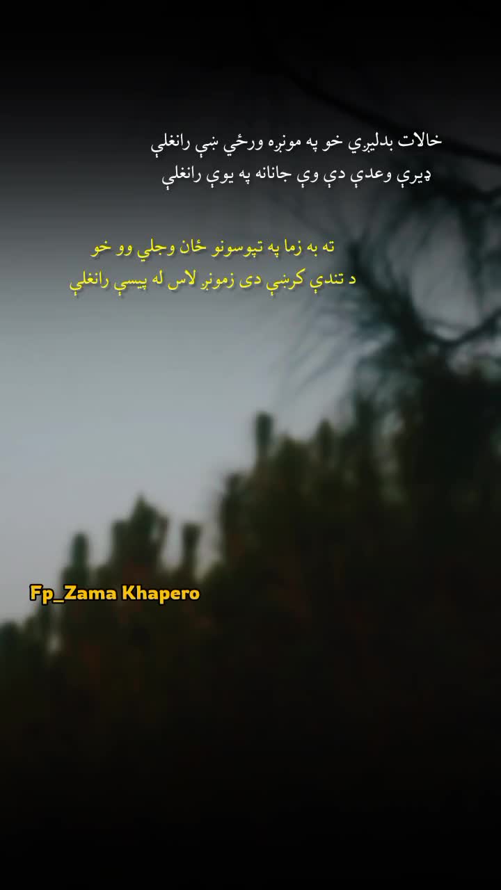 @Zama Khapero