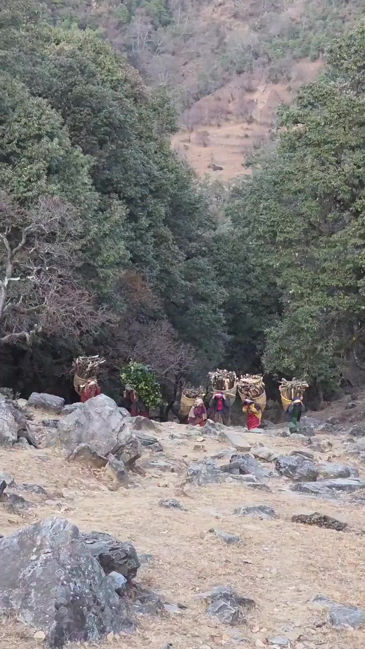 @༺महेश बुढा༻