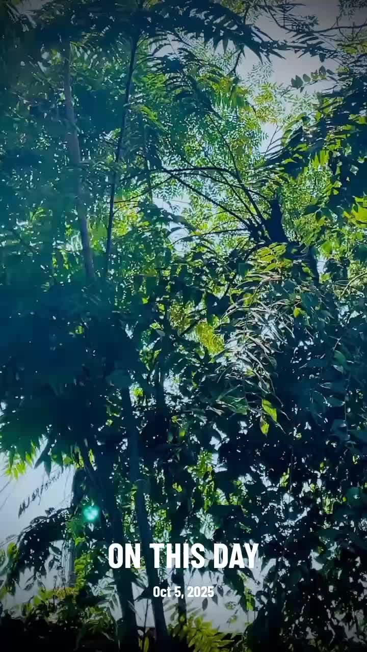 @𝐀𝐊_101🔰