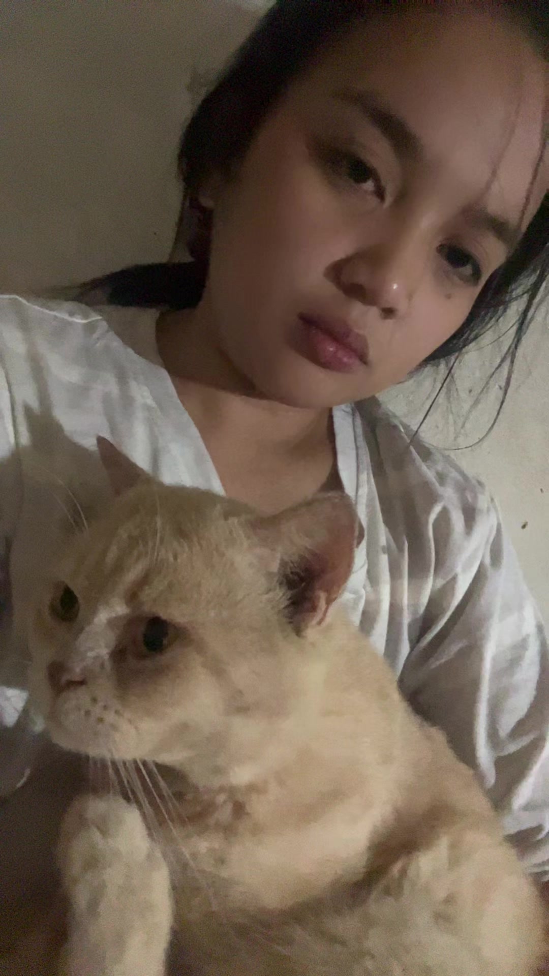 @cesaica🌷