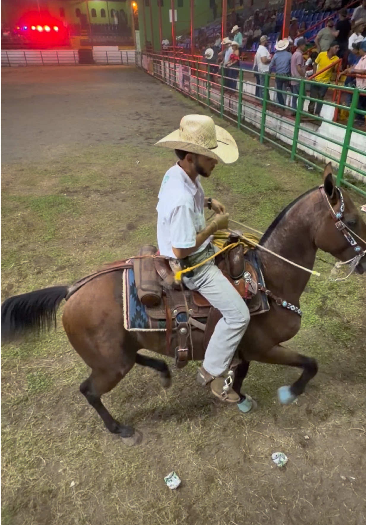 @José Núñez
