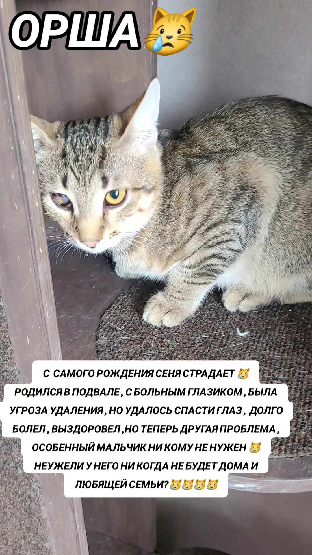 @marinka20_09