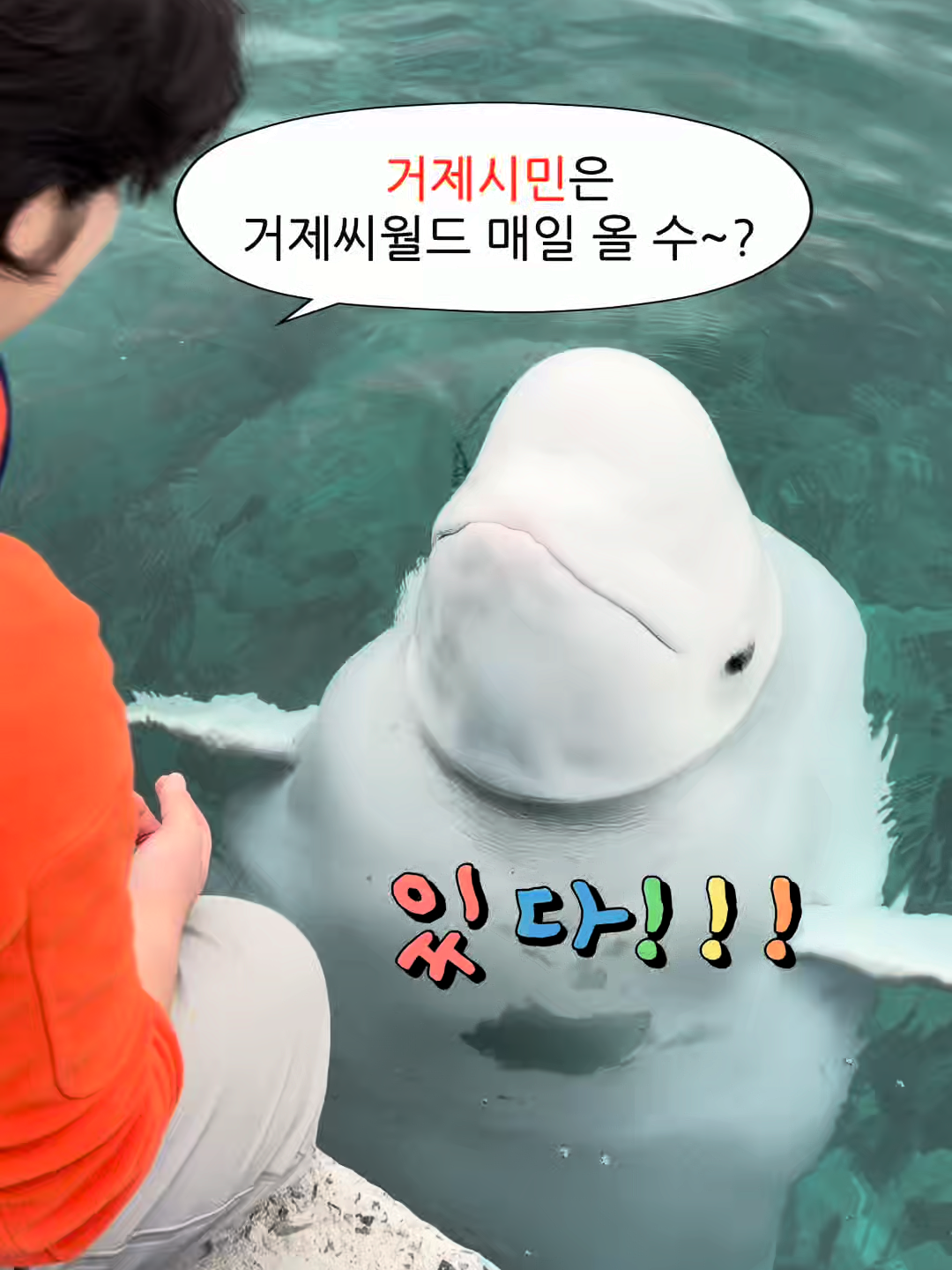@DolphinTok