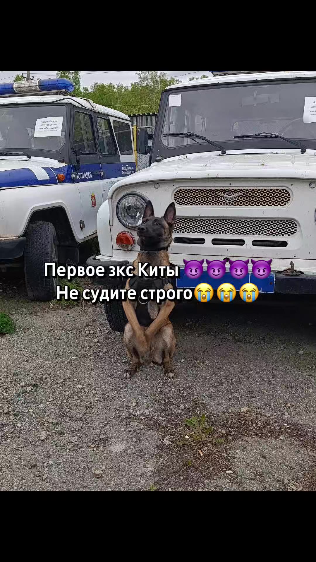@⚡Кита from авито⚡