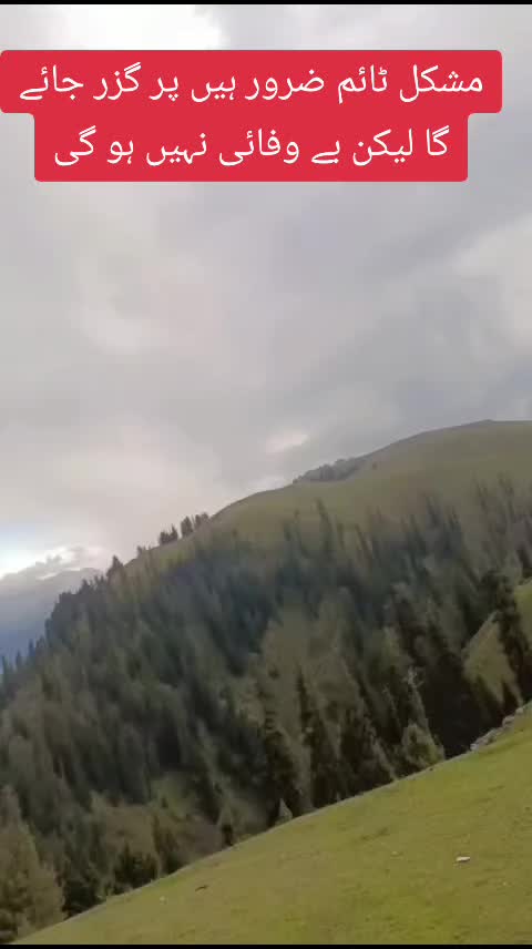 @Gullo Mehar