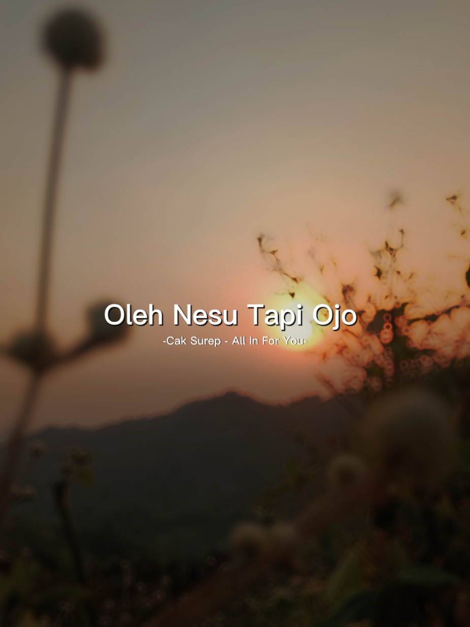 @Lagu Viral