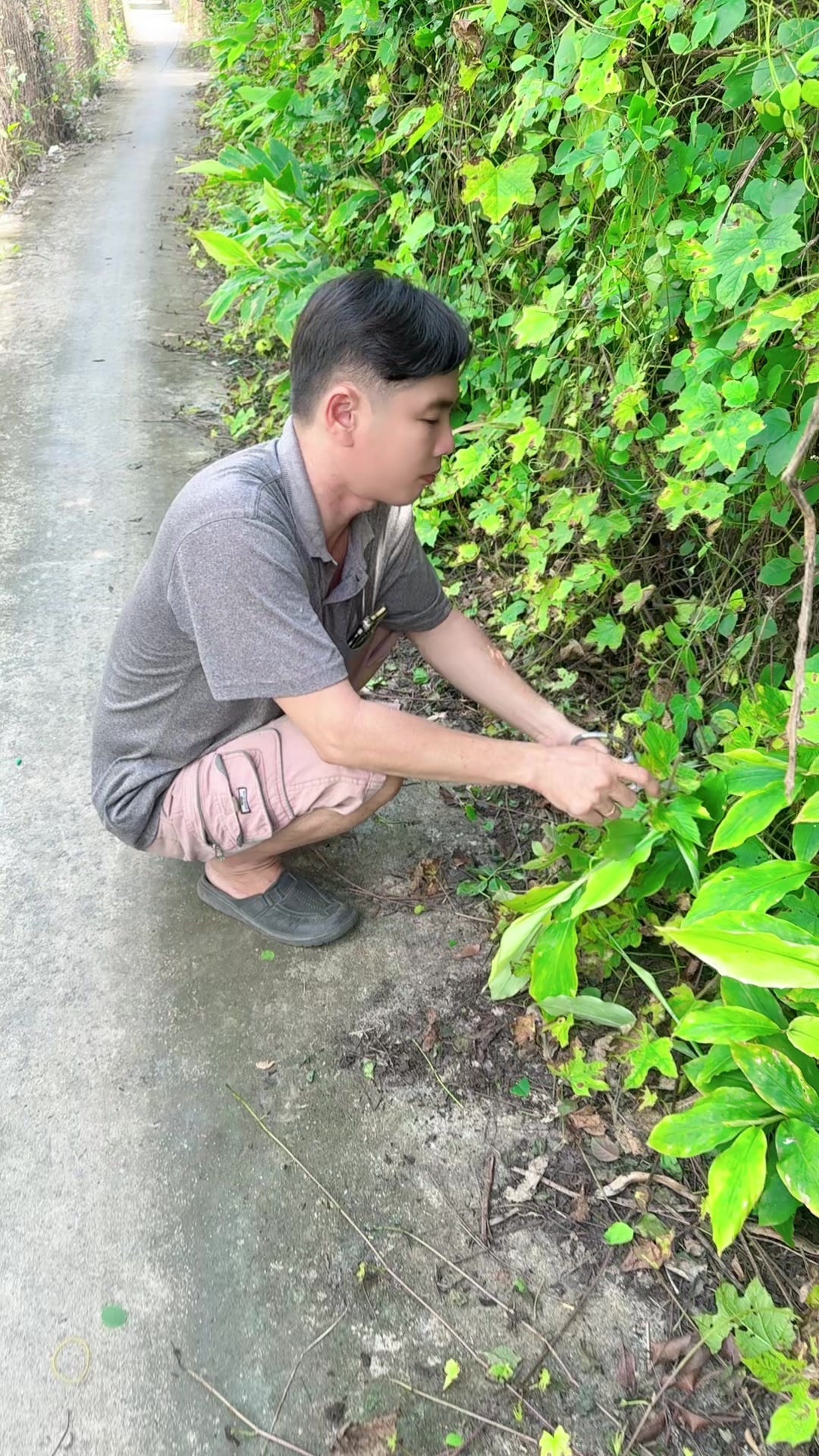 @Bàn tay nhỏ 63B3