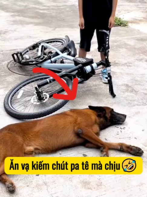 @Bin hài hước