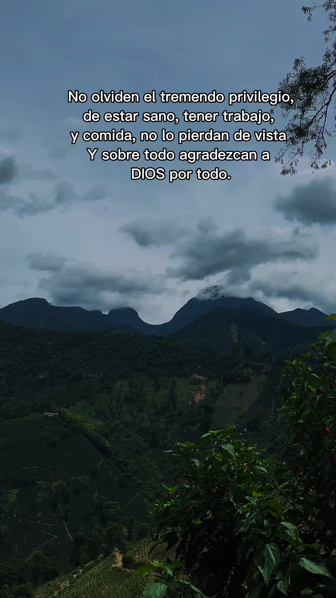 @Lili🩵