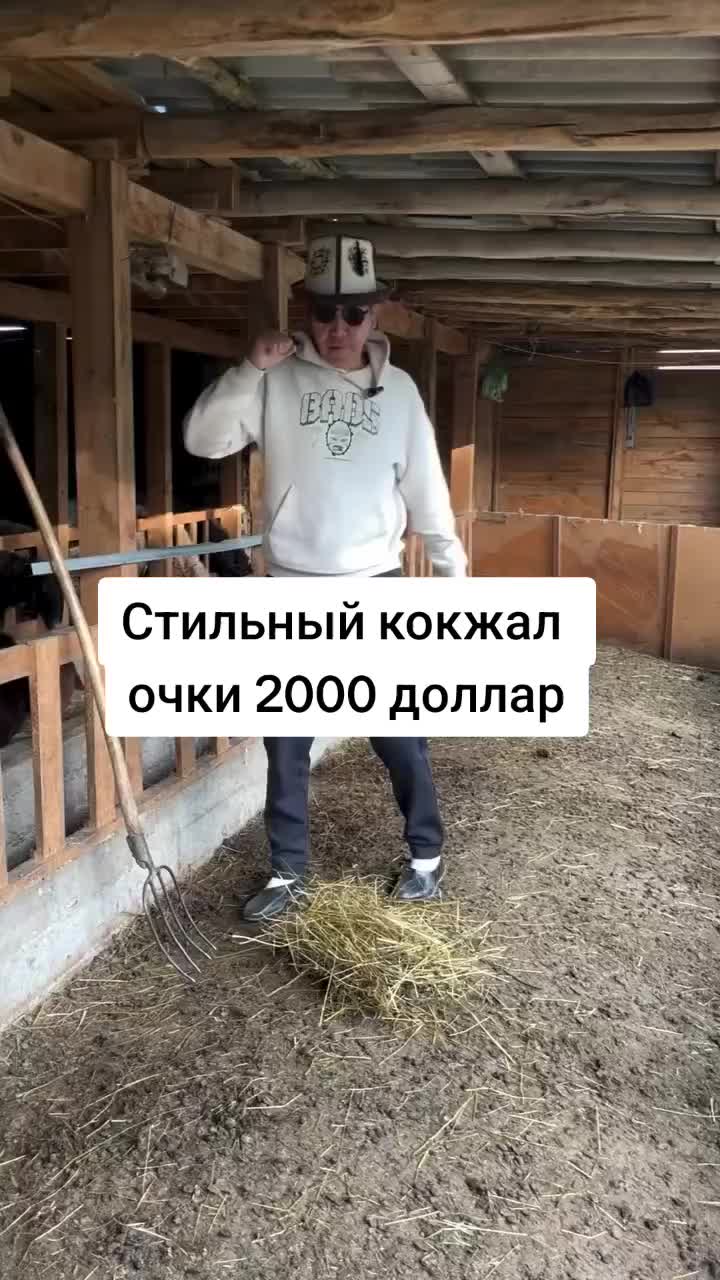 @Дикий Карышкыр🐺