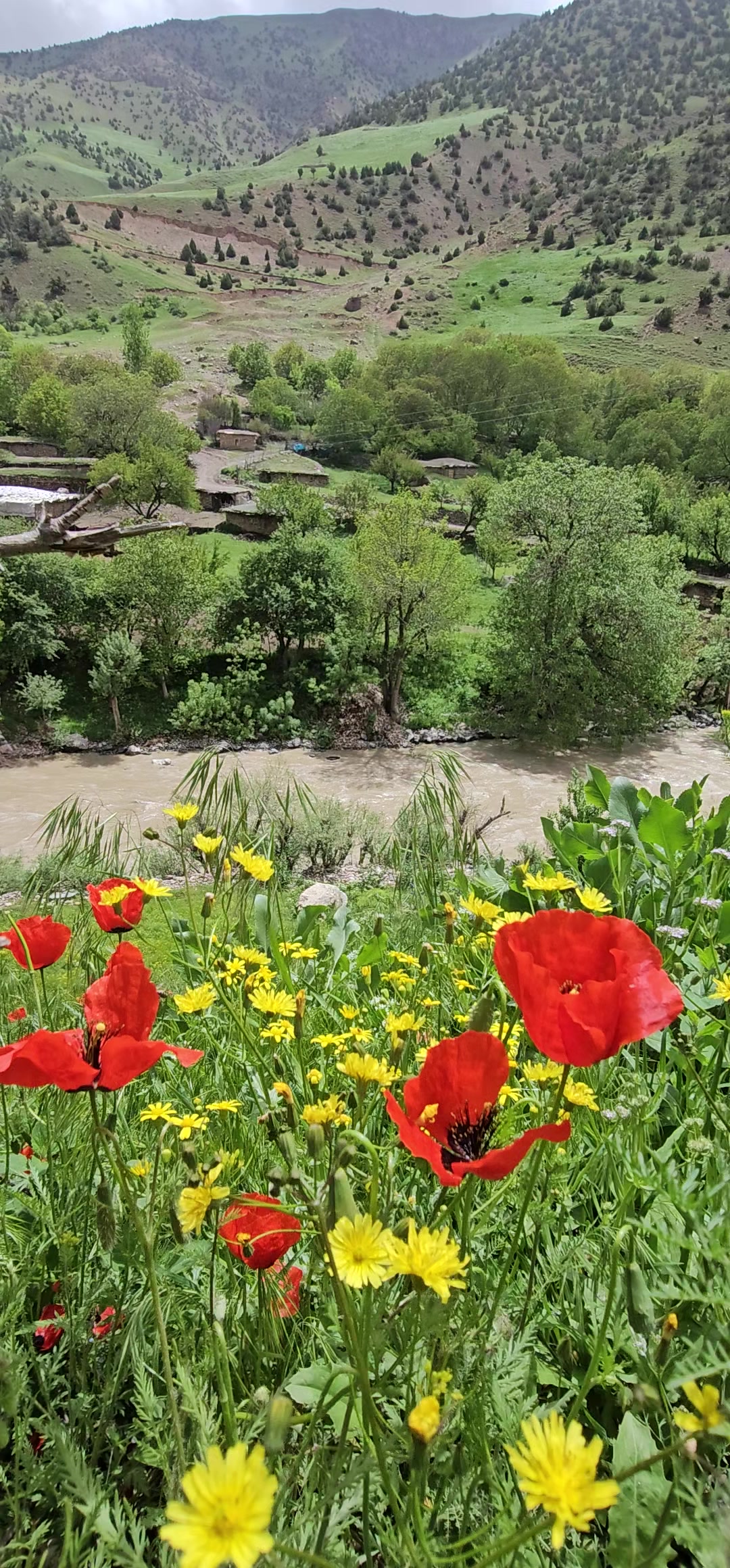 @besir ybş