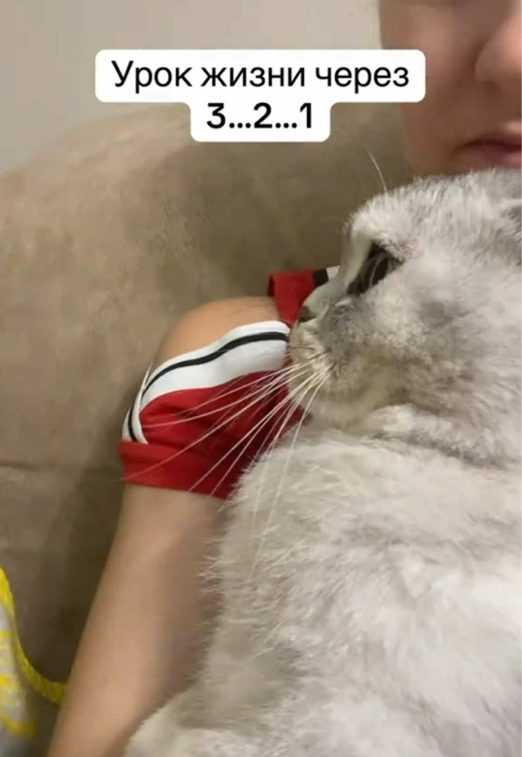 @_Viktorija_Kuzmich_