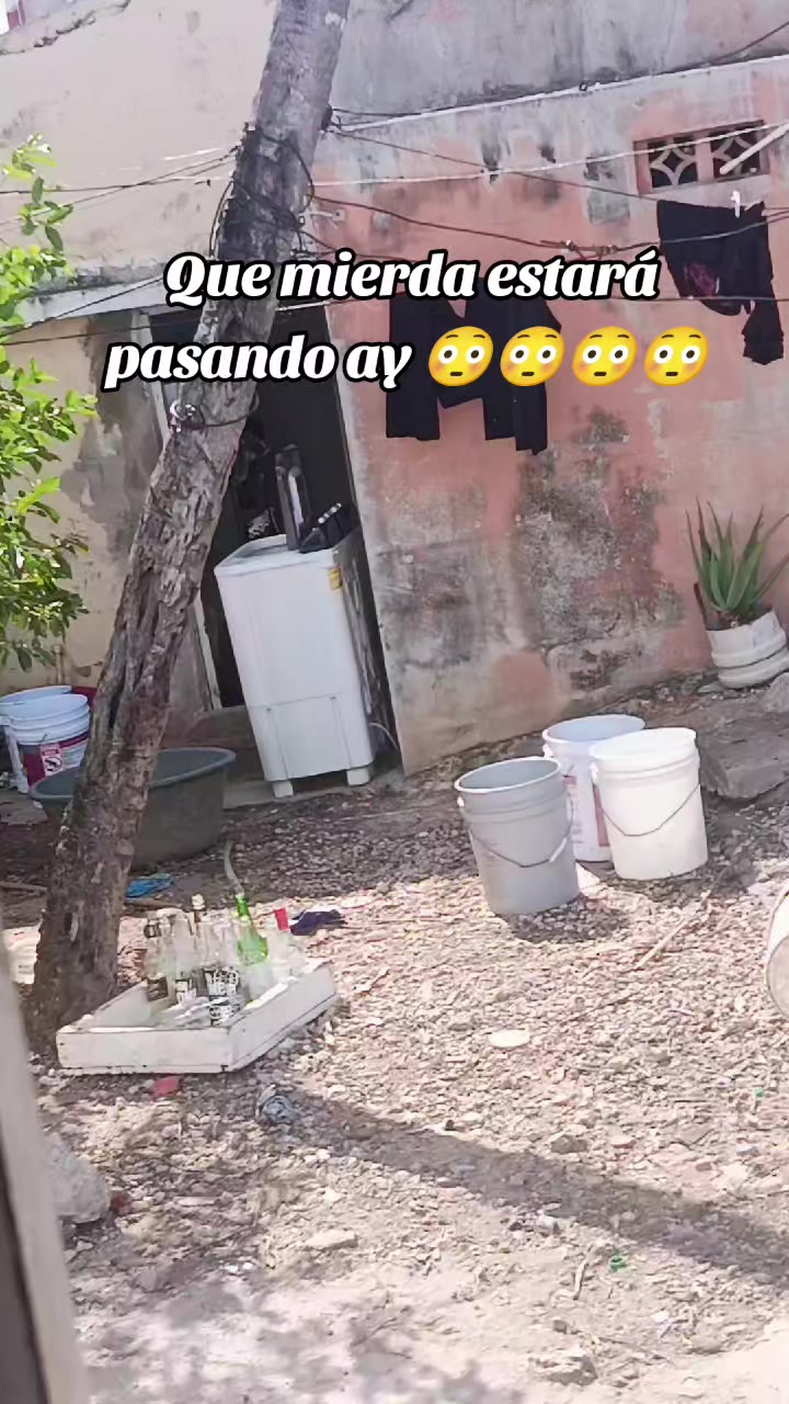@Lil ⚡💥