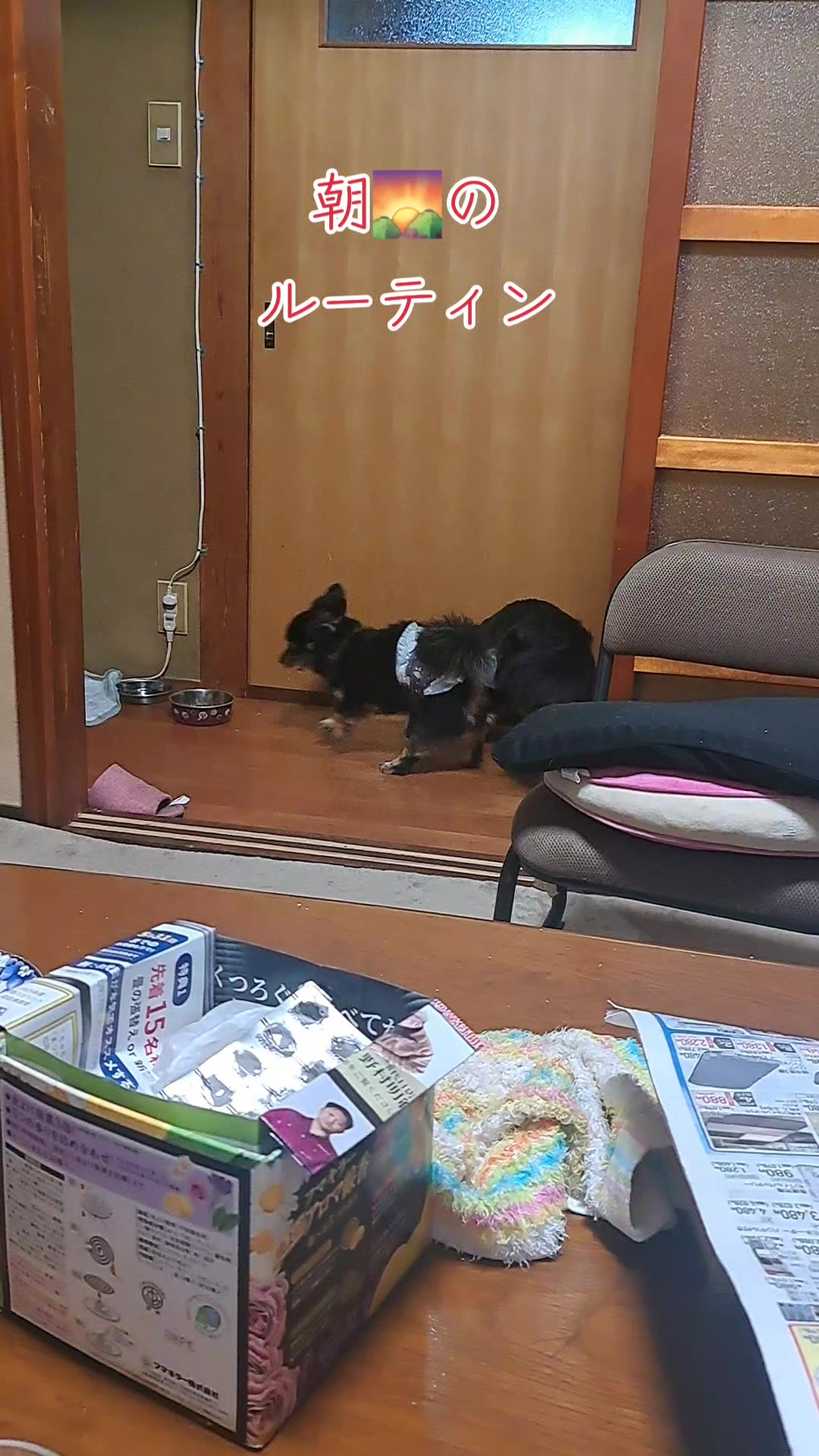 @タケヤッコ