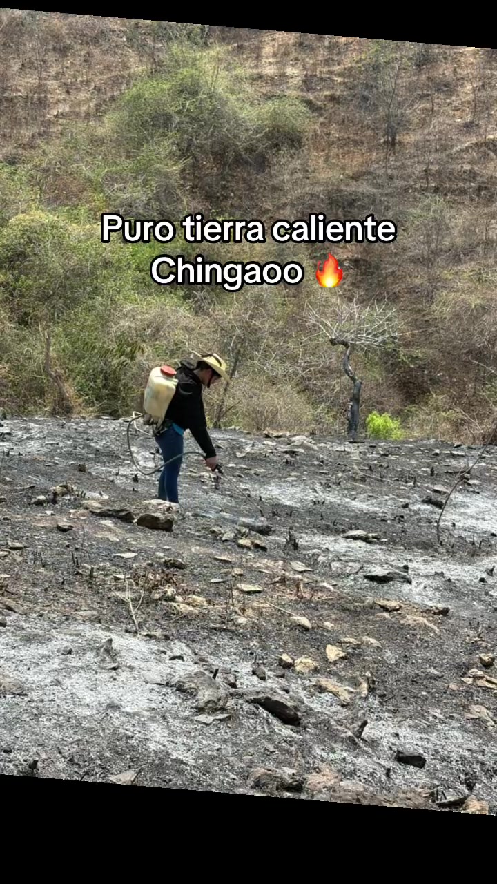 @Iris Cristal Garc&iacute;a Ocampo