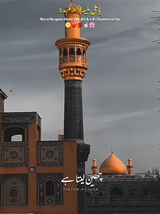 @𝐙𝐀𝐈ن𝐀𝐛ރ