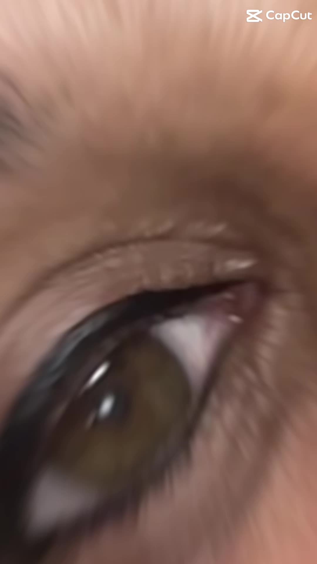 @Anairys