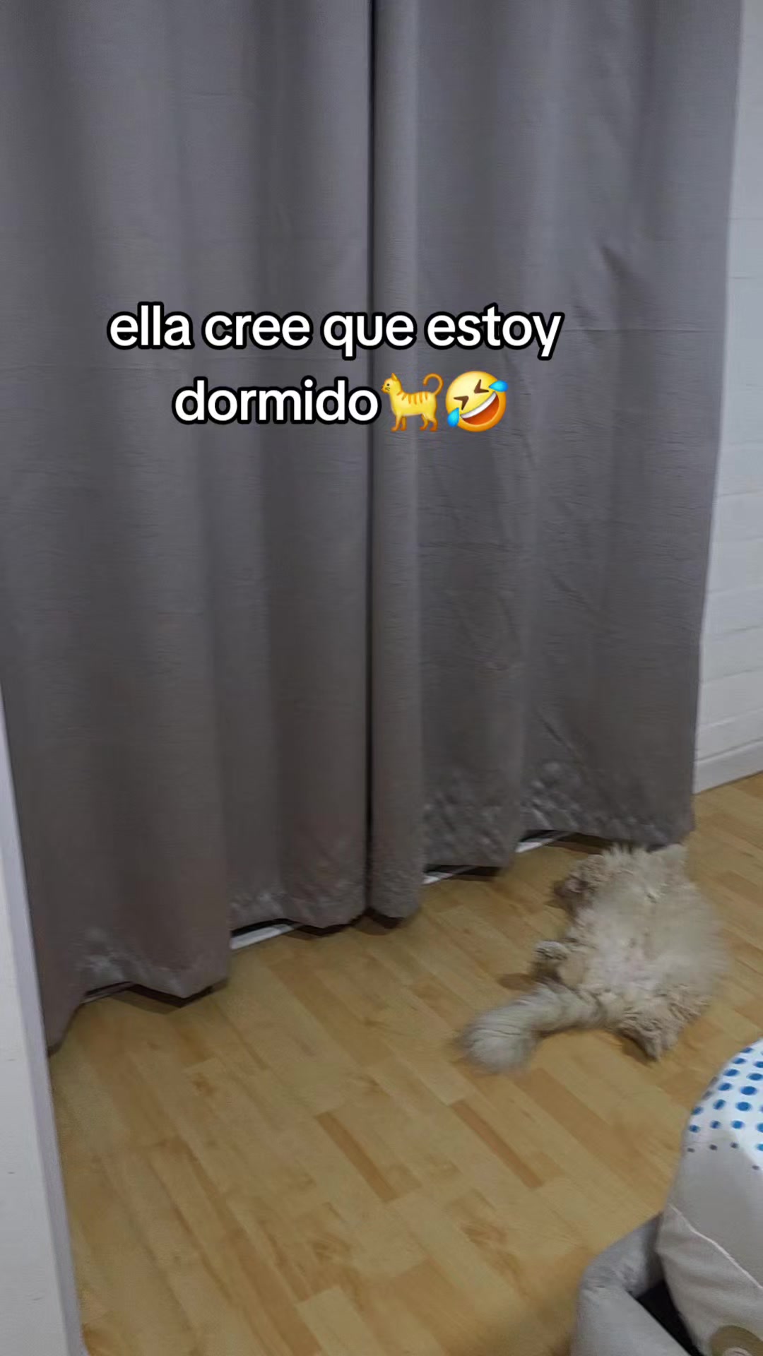 @🎀Jhennifer Bolaños🎀